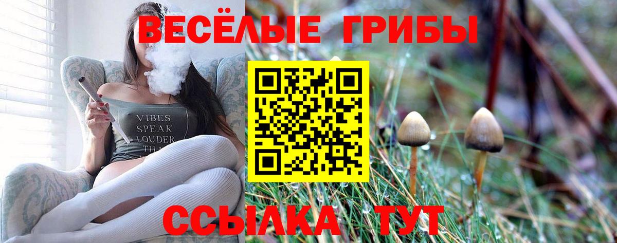 Санкт-Петербург  Галлюциногенные грибы Psilocybine cubensis  Галлюциногенные грибы Psilocybe  Вход с VPN 