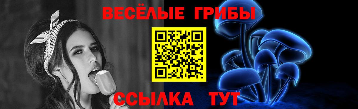 Псилоцибиновые грибы Cubensis Санкт-Петербург